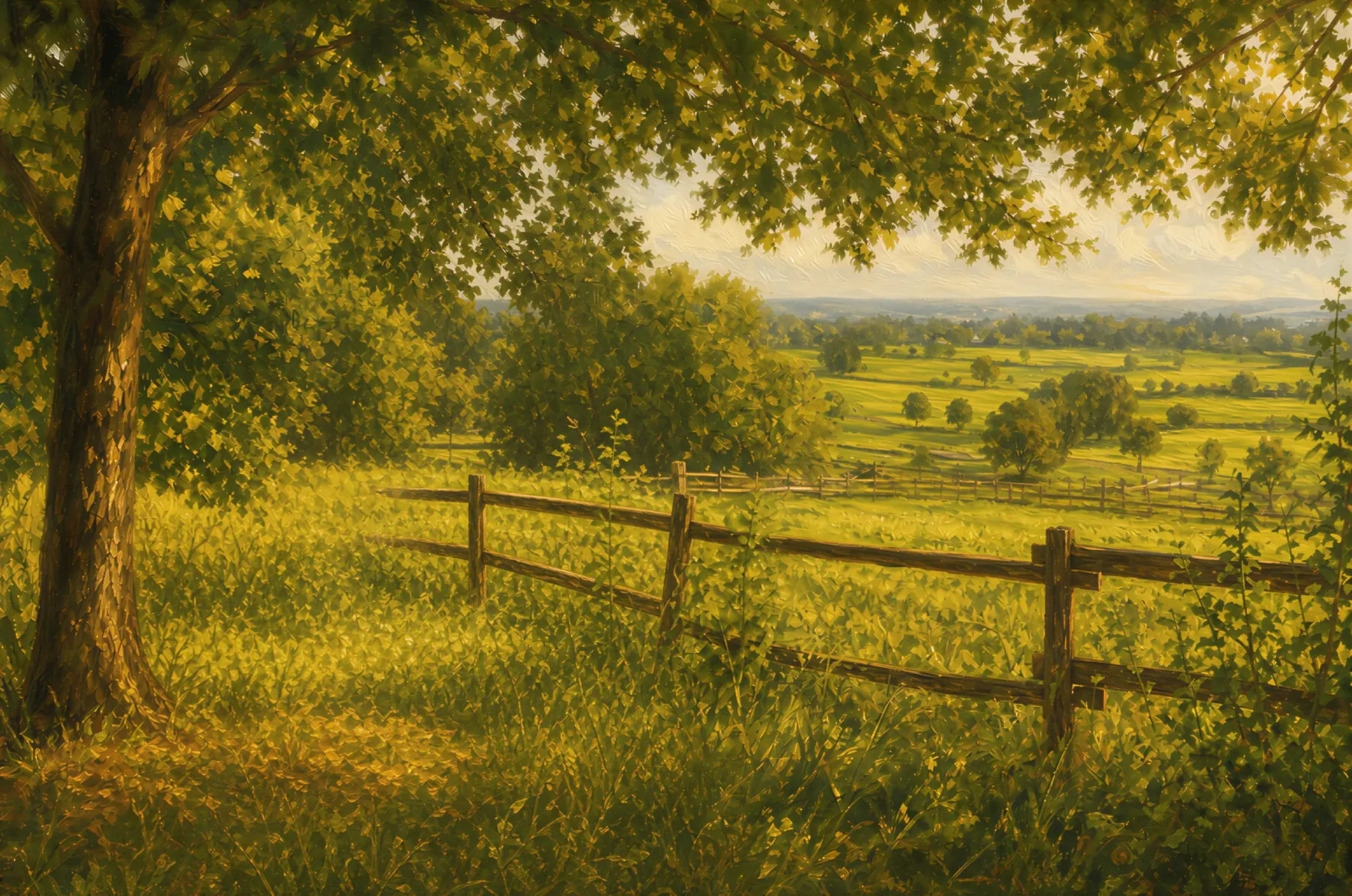 The view from the farm — pasture, fence line and the valley beyond.